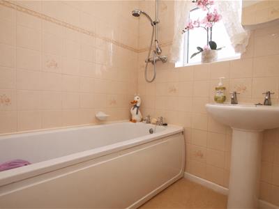 Picture 11